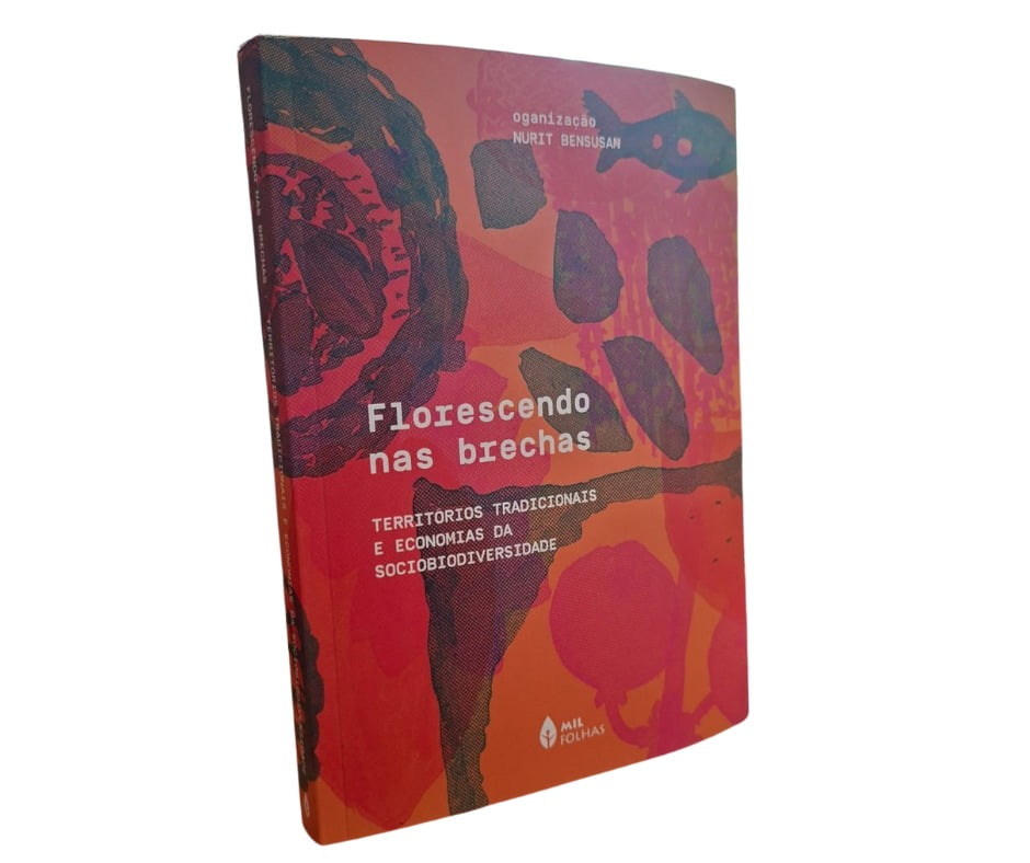 Florescendo nas brechas: territórios tradicionais e economias da sociobiodiversidade